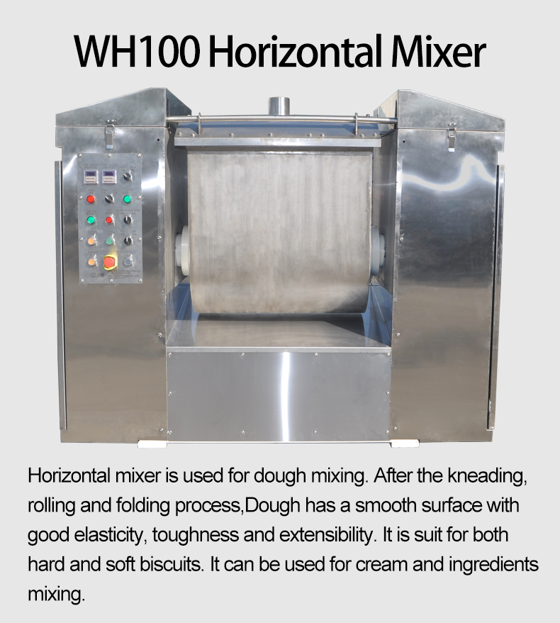 WH100 Horizontal Mixer(图1)