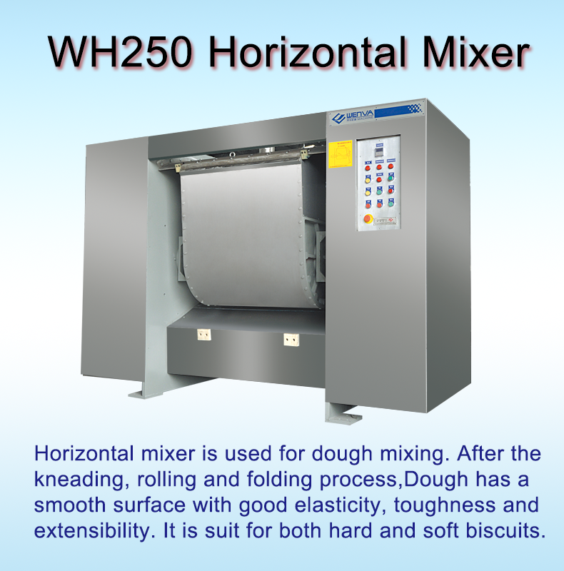 WH250 Horizontal Mixer(图2)