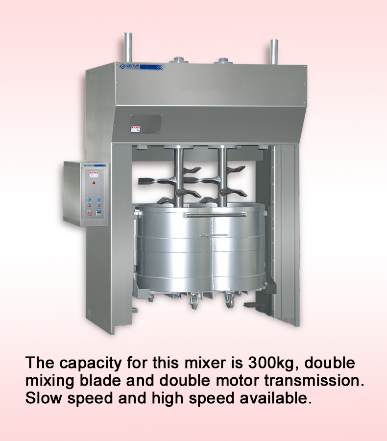 WL300 vertical mixer(图1)