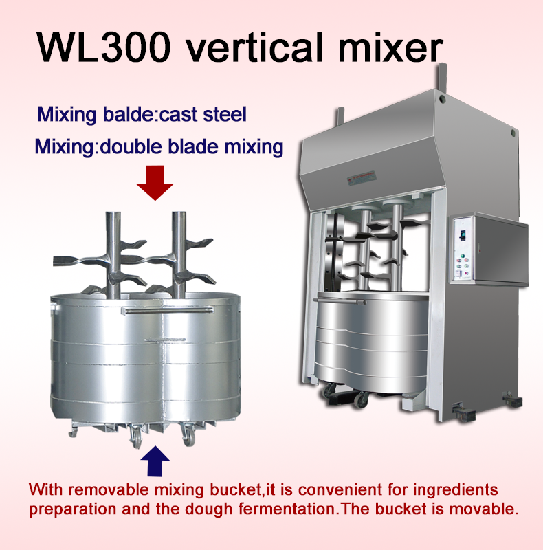 WL300 vertical mixer(图3)